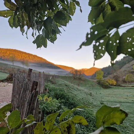 Le Silence Du Midi Maison d'hôtes *