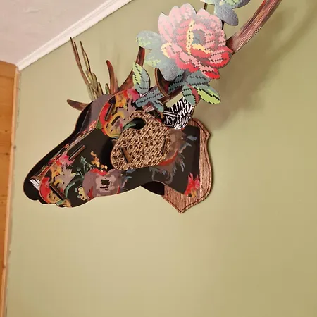 Le Silence Du Midi Comus