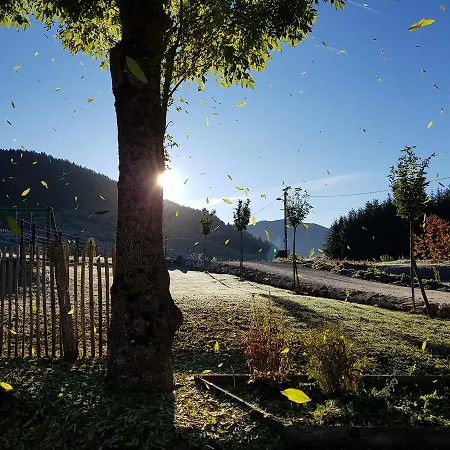 Le Silence Du Midi * Comus