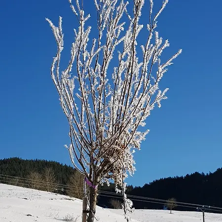 Maison d'hôtes Le Silence Du Midi Comus